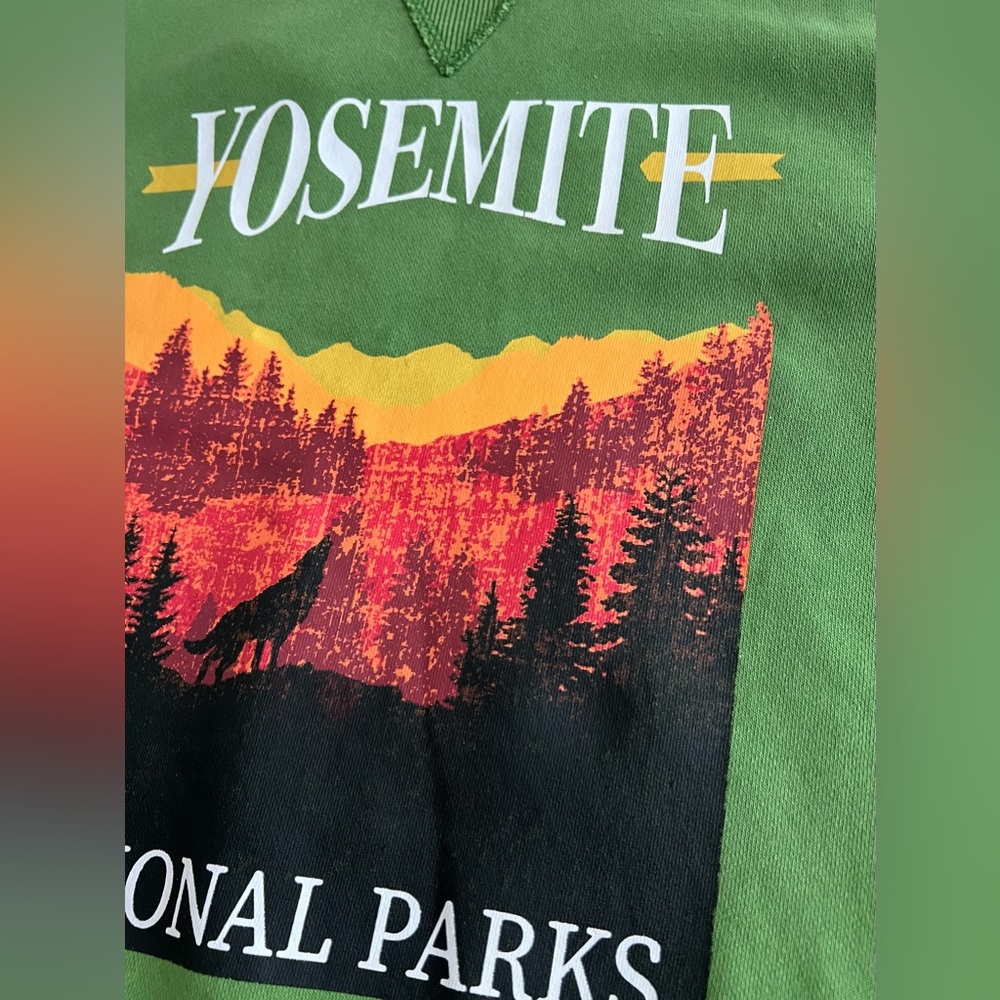 BNWT Yosemite National Parks Garment washed Sweatshirt Pullover S NEW F21!
